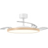 Ventilador de Techo Grunkel SKYWOOD42/ 30W/ 3 Aspas 106cm/ 6 Velocidades