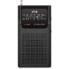 Radio Portátil SPC ICY Max/ a Pilas/ Negra